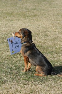 Tina rally